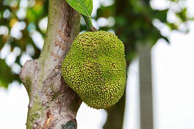 英伟达携手合作伙伴打造小型游戏PC新生态 RTX 4060系列率先支持